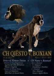 qiesto