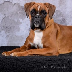 raissa